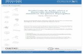 Producción de ácido cítrico y desarrollo morfológico en ...digital.bl.fcen.uba.ar/download/tesis/tesis_n2951_Soria.pdf · subproductos de la hidrólisis enzimática del almidón.