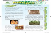 Info Agro Costa Rica COSTA RICA MINISTERIO DE … cultivo de la... · La papaya es originaria de Centro América, según algunos autores. ... Para la selección de la semilla, generalmente