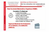 Real Sociedad Matemática Española (RSME) Comisión …soria/ValenciaSP.pdf · portales en Internet (InfoJobs, etc.) Contenidos. Universidad de Valencia 4 de diciembre de 2007!Análisis