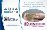 Avances en la nutrición del camarón: requerimientos ...aquaexpoguayaquil.cna-ecuador.com/wp-content/uploads/2017/10/Mar… · Primas y Determinación de Calidad ... • Expeler