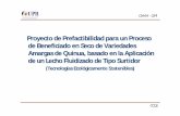 Proyecto de Prefactibilidad para un Proceso de …quinua.pe/wp-content/uploads/2016/06/qui_quiroga.pdf · Geometría del lecho Flujo de alimentación ... Características de los Lechos