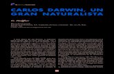 Cuadernos de Biodiversidad CARLOS DARWIN, UN … · Un arquetipo de naturalista fue Darwin. ... dios de evolución del mundo vivo, ... en torno al origen de las especies se desarrollara