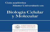 Biología Celular y Molecular - usal.es celular y molecular2012-2013... · CE13- Desarrollar su capacidad para tomar decisiones ante situaciones prácticas que ... Biología Celular