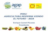 PERU: AGRICULTURA MODERNA VIENDO EL … · 2015-04-14 · •Asociación Peruana de Productores y Exportadores de Mango/APEM •Instituto Peruano del Esparrago y Hortalizas/IPEH ...