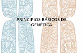 PRINCIPIOS BÁSICOS DE GENÉTICA · PRINCIPIOS BÁSICOS DE GENÉTICA . La genética es la ciencia que estudia la variación y la transmisión de rasgos o características de una