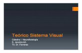 Jacubovich - Sistema Visual - Facultad de Psicología - … · Vía 4a Sinapsis Vía de proyección cortical Vía Visual Células Fotorreceptoras defla Retina— Célula8ipola Célu/a&ngliona