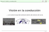 o el control visual del vehículo dentro del entorno de la ... · 8 - 1 Tema 8: Visión y conducción Visión en la conducción … o el control visual del vehículo dentro del entorno