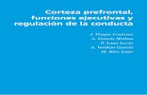 Corteza prefrontal, funciones ejecutivas y regulación de ...autismodiario.org/wp-content/uploads/2013/12/Neuropsicología-de-la... · ta humana [3]. un siglo antes de Luria, el neurólogo