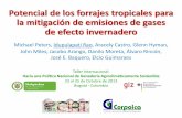Potencial de los forrajes tropicales para la mitigación de ...legacy.iica.int/Esp/regiones/andina/colombia/Documentos de la... · Contenido • Importancia ... tierra predominantes
