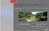 DESIGNACIÓN DE LA ZONA ESPECIAL DE · 2014-07-04 · DESIGNACIÓN DE LA ZONA ESPECIAL DE ... En cuanto a la fauna, ... Catálogo Español de Especies Amenazadas en la categoría
