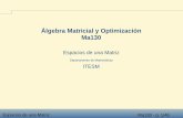 Álgebra Matricial y Optimización Ma130cb.mty.itesm.mx/ma4011/materiales/m130-04a.pdf · Espacios de una Matriz Ma130 - p. 1/46 Álgebra Matricial y Optimización Ma130 Espacios