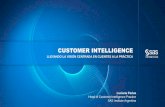 Luciana Padua - Customer Intelligence - Analytics ... · •Cada unidad de negocios debe tener su estrategia basada en clientes para ... Call Center IVR Internet Celular Call Center