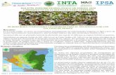 BOLETÍN AGROMETEOROLÓGICO DE ENERO 2018ineter.gob.ni/BOLAGROMET ENE18.pdf · en el cultivo de yuca. En el monitoreo realizado en las plantaciones de cacao ... recomienda aplicar