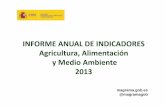 INFORME ANUAL DE INDICADORES Agricultura, … · • España es el primer productor de la UE: ... 5.810 millones de euros (13,1% del total de la UE) ... Gasto de los españoles en
