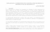 ANÁLISIS DE LA ADMINISTRACIÓN AGROPECUARIA EN MÉXICO Y PERSPECTIVAS DE DESARROLLOru.iiec.unam.mx/3838/1/160-Reyes-Reyes.pdf · 2017-11-19 · PERSPECTIVAS DE DESARROLLO Lorenzo