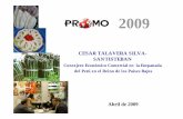 1.Agro Holanda - eSAFE | Administradorsafe.promperu.gob.pe/files/PROMO2009/seminario/DOC-111-Agro... · del Perú en el Reinode los Paises Bajos. Agenda 1. Descripción del sector