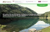 El valor de los bosques andinos en asegurar agua y …bosquesandinos.org/wp-content/uploads/2015/12/061115_articulo_n3.pdf · observa que en zonas altoandinas, ... La organización