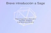 Breve introducción a Sage - PyConES 20142014.es.pycon.org/static/talks/Breve introduccion a Sage - Miguel... · ¿Qué es Sage? Objetivo: crear una alternativa viable, libre y de