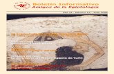 Julio de 2008 - Amigos de la Egiptologíaegiptologia.com/wp-content/uploads/2010/01/BIAE60.pdf · La Asociación Egiptología de Lorca nombrará como presidente de honor a Zahi Hawass....