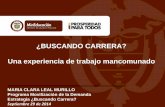 ¿BUSCANDO CARRERA? Una experiencia de trabajo …redes.colombiaaprende.edu.co/ntg/men/pdf/buscando_carrera.pdf · Subdirección de Desarrollo Sectorial Subdirección de Apoyo a la