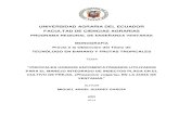 UNIVERSIDAD AGRARIA DEL ECUADOR FACULTAD DE …cia.uagraria.edu.ec/archivos/SUAREZ GARCIA MIGUEL ANGEL.pdf · Describir los principales agentes entomopatógenos, utilizados para el