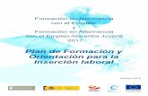 Plan de Formación y Orientación para la Inserción Laboral · Formación en Alternancia con el Empleo y Formación en Alternancia con el Empleo-Garantía Juvenil 2017 Plan de Formación