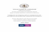 Universidad de Valladolid - UVaDOC: Iniciouvadoc.uva.es/bitstream/10324/6626/1/TFM-L177.pdf · Criterios de decisión ... selección de los métodos de análisis disponibles, ...