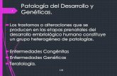 Patología del Desarrollo y 1 Genéticas.ecaths1.s3.amazonaws.com/anatomiapatologicaodontount/1691195588... · Trastornos del Desarrollo de Maxilares Consideraciones Quirúrgicas
