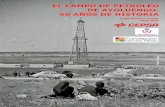 EL CAMPO DE PETRÓLEO DE AYOLUENGO: 50 AÑOS DE ... - Sargentes de … · Bloque diagrama que ilustra el relieve de páramos y cañones en el entorno del campo de Ayoluengo. ... acción