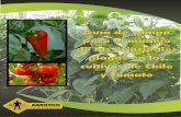 PRESENTACIÓN - AGROTICOagrotico.net/web/ServicioTecnico/Manuales_de_Cultivo/Guia de Campo... · para el manejo de plagas en los cultivos de Chile y Tomate. Esta guía ... Debido
