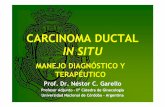 CARCINOMA DUCTAL IN SITU - mariecurie.com.armariecurie.com.ar/eventos/2012-06-SimposioIrradiacinParcialMama/D14... · Prof. Dr. Néstor C. Garello Profesor Adjunto - IIº Cátedra