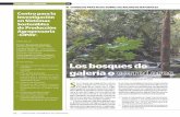 CONSEJOS PRÁCTICOS SOBRE LOS RECURSOS NATURALESelti.fesprojects.net/2011Corridors1Colombia/cf_95_bosques... · naturales: Los bosques de galería o corredores ribereños • Flora