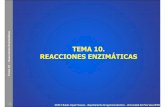 Tema 10 –Reacciones Enzimáticas - ocw.ehu.eus · Tema 10 –Reacciones Enzimáticas 3 OCW ©Rubén López Fonseca –Departamento de Ingeniería Química –Universidad del País