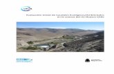 Evaluación Inicial de Caudales Ecológicos/Ambientales en ... · ... UICN, Quito, Ecuador Con el ... 2.3.2‐ Elementos para la definición de caudal ecológico en ... basan en distintos