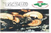 Revista Nº 1 - Somicansomican.com/wp-content/uploads/2017/01/Yesca-01.pdf · Prohibida la reproducción total o parcial sin citar la procedencia. ... las tortillas y hasta la "tarta"
