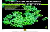 CATLOGO DE MICROALGAS - .catlogo de microalgas y cianobacterias de agua dulce del ecuador biodiversidad