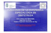 FUNCIONES DE LA ENFERMERIA ESPECIALIZADA …chguv.san.gva.es/docro/hgu/document_library/servicios_de_salud/... · vÍas de informaciÓn c. salud educaciÓn maternal informaciÓn ginecologo