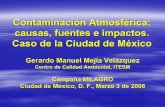 Contaminación Atmosférica: causas, fuentes e impactos. Caso de la Ciudad de … (3-3-06).pdf · 2007-10-12 · causas, fuentes e impactos. Caso de la Ciudad de México ... – Incremento