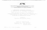 UNIVERSIDAD AUTONOMA METROPOLITANA …148.206.53.84/tesiuami/UAM4389.pdf · únicamente se aborda el proceso de relocalización llevado a cabo en el valle de Uxpanapa. El objetivo