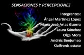 Integrantes: Ángel Martínez López María José Arias … · El sentido de la vista es el que nos permite percibir sensaciones ... Leyes de la percepción: Ley del cierre ... •