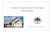 Centro de Transferencia Tecnólogica Pino Radiata · utilización de madera en los ámbitos de arquitectura, construcción e ingeniería, ... Especificaciones de los grados de calidad.