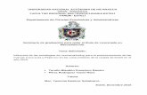 Universidad Nacional Autónoma de Nicaragua, UNAN …repositorio.unan.edu.ni/2070/1/17341.pdf · llevar a cabo el proceso investigativo de manera eficiente, así como también por