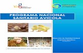 PROGRAMA NACIONAL SANITARIO AVICOLA - …³n-071... · Dirección de Sanidad Animal Programas Específicos 07/08/2013 PROGRAMA NACIONAL SANITARIO AVICOLA Un sistema dinámico que