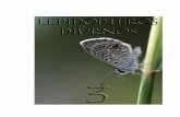 3. LEPIDOPTEROS - cortolima.gov.co · momento, de los cuales 300 son endémicas, con base en los nuevos registros y ... Determinar la diversidad de lepidópteros durante los períodos