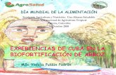 EXPERIENCIAS DE CUBA EN LA BIOFORTIFICACIÓN DE …lac.harvestplus.org/wp-content/uploads/2015/02/experiencias-en... · INFRAESTRUCTURA PARA LA EJECUCIÓN DEL PROYECTO DE BIOFORTIFICACIÓN