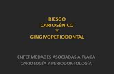 RIESGO CARIOGÉNICO Y GÍNGIVOPERIODONTAL · Potencia los procesos vasculares