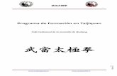 Programa de Formación en Taijiquan - wudangchile.cl · La práctica del Tai Chi ... de Artes Internas de las montañas de Wudang en China, la Wudang Taoist Kung Fu ... aplicaciones
