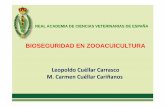 REAL ACADEMIA DE CIENCIAS VETERINARIAS DE …racve.es/files/2017/12/zooacuicultura.pdf · Esteros acuáticos: Son granjas de grandes estanques excavados en tierra, ... circulares),