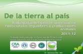 I+D - Movimiento CREA 2013 - coninagro.org.ar la Tierra al país.pdf · De la Tierra al país 11-12 I+D - Movimiento CREA – 2013 Dimensiones Horticultura y Legumbres Producciones