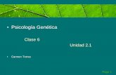 Psicología genética - UdelaR · Constructivismo y estructuralismo ... El rol de las operaciones y la construcción del objeto a lo largo ... •Alternativa en la teoría piagetiana